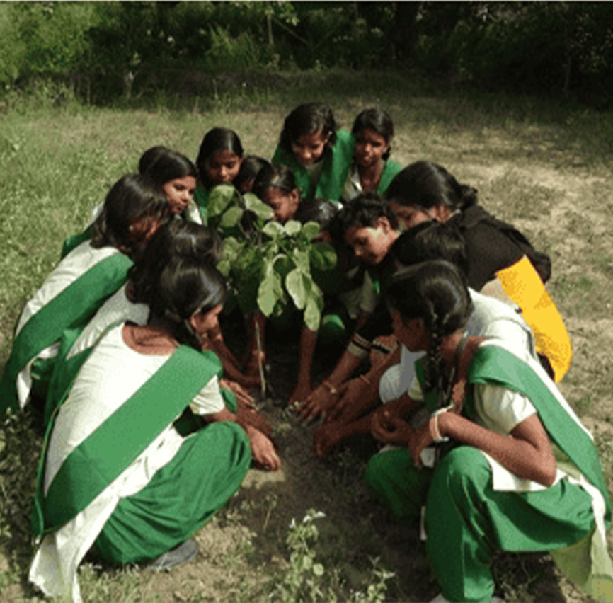 IVillage’s Journey to Sustainability: A Closer Look